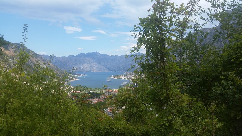 Apartments Panoramic Paradise Котор Экстерьер фото